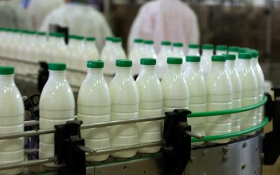 La industria peruana al límite: comercio ilícito impacta al 39% de empresas, con picos críticos de alimentos adulterados