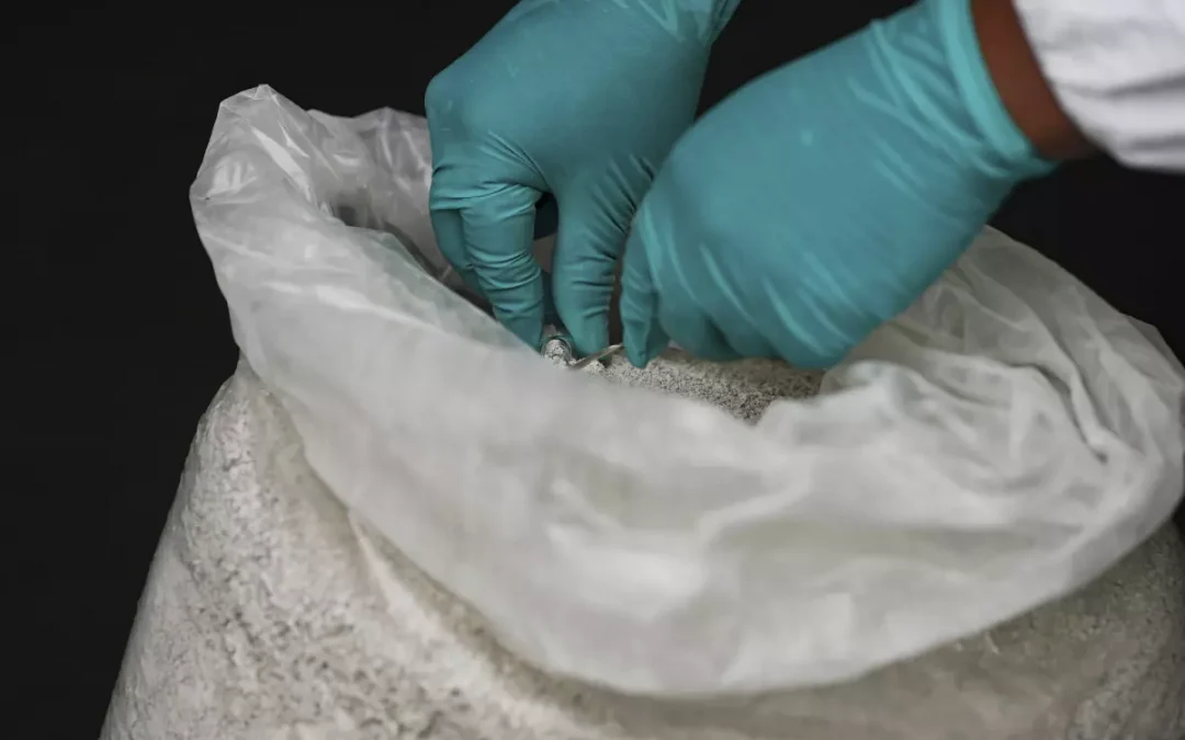 Perú incauta un récord de 4 toneladas de mercurio en lucha contra la minería ilegal de oro